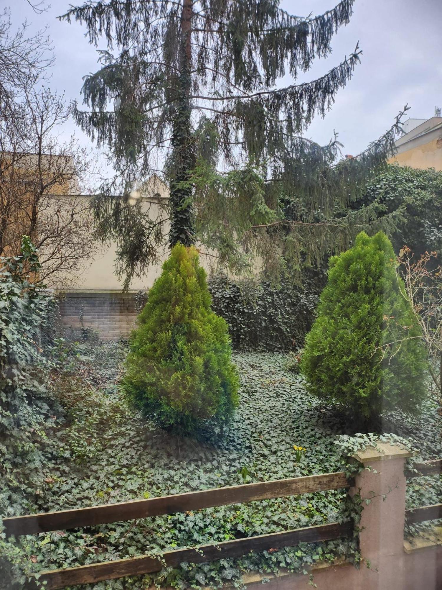 Cozy Flat In 3 * Prague